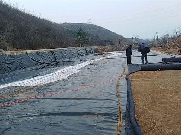 煙臺防滲藕池土工膜,池塘防滲防曬專用土工膜圖片第4張-盈旭土工材料